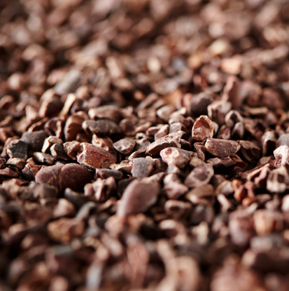 Organic Peruvian Cacao Nibs